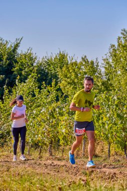 26 Eylül 2021: Romanya, Marcea, yarışma versiyonu no. Bir. Yerel bir spor, 12 km 'lik bir yarış. yarışmadan resimler.