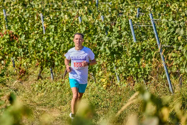 26 Eylül 2021: Romanya, Marcea, yarışma versiyonu no. Bir. Yerel bir spor, 12 km 'lik bir yarış. yarışmadan resimler.