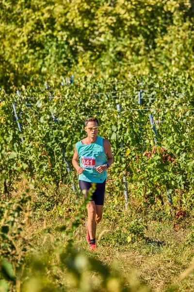 26 Eylül 2021: Romanya, Marcea, yarışma versiyonu no. Bir. Yerel bir spor, 12 km 'lik bir yarış. yarışmadan resimler.