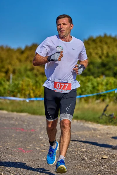 26 Eylül 2021: Romanya, Marcea, yarışma versiyonu no. Bir. Yerel bir spor, 12 km 'lik bir yarış. yarışmadan resimler.