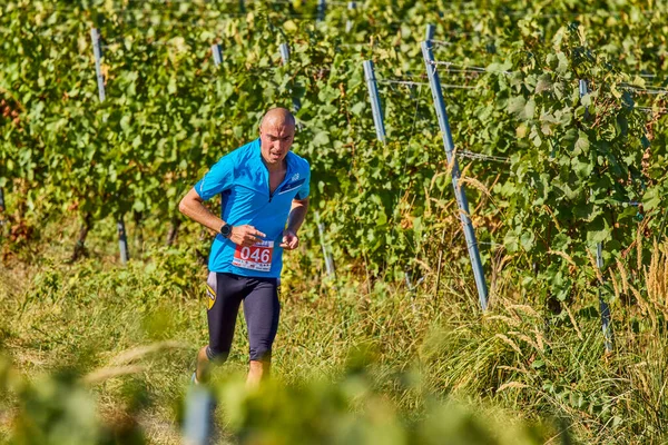 26 Eylül 2021: Romanya, Marcea, yarışma versiyonu no. Bir. Yerel bir spor, 12 km 'lik bir yarış. yarışmadan resimler.