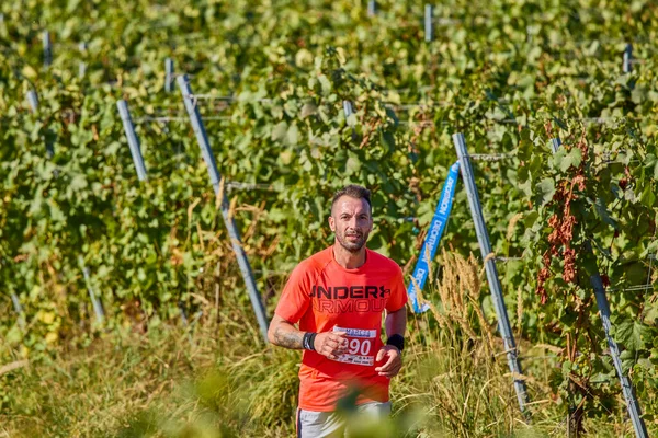 26 Eylül 2021: Romanya, Marcea, yarışma versiyonu no. Bir. Yerel bir spor, 12 km 'lik bir yarış. yarışmadan resimler.