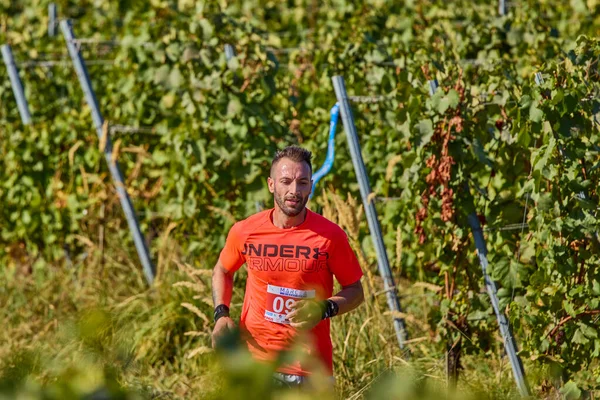 26 Eylül 2021: Romanya, Marcea, yarışma versiyonu no. Bir. Yerel bir spor, 12 km 'lik bir yarış. yarışmadan resimler.