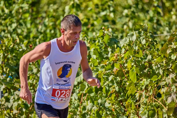 26 Eylül 2021: Romanya, Marcea, yarışma versiyonu no. Bir. Yerel bir spor, 12 km 'lik bir yarış. yarışmadan resimler.