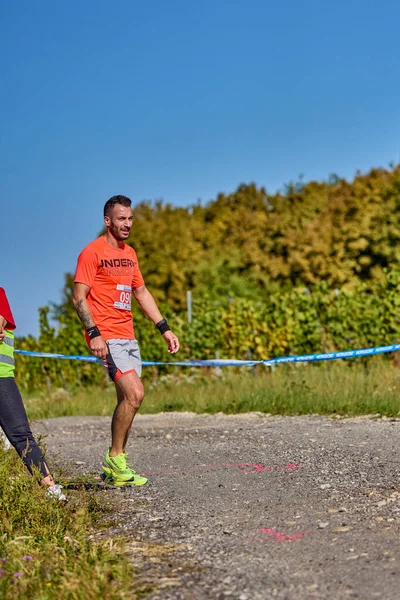 26 Eylül 2021: Romanya, Marcea, yarışma versiyonu no. Bir. Yerel bir spor, 12 km 'lik bir yarış. yarışmadan resimler.