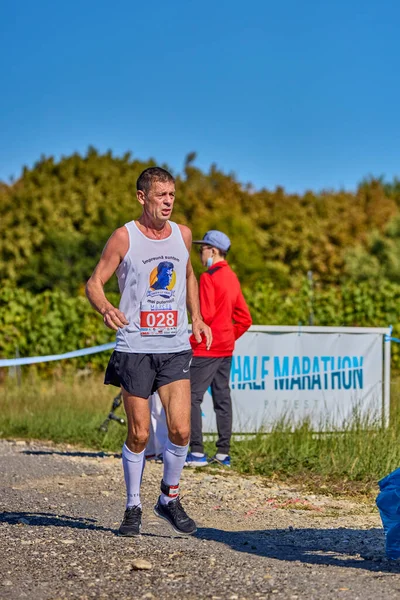 26 Eylül 2021: Romanya, Marcea, yarışma versiyonu no. Bir. Yerel bir spor, 12 km 'lik bir yarış. yarışmadan resimler.