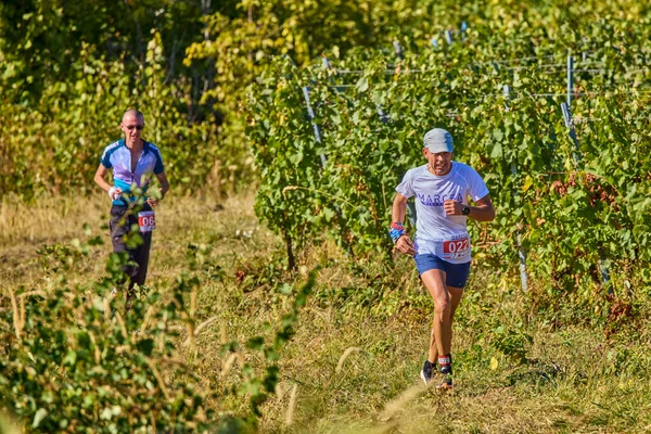 26 Eylül 2021: Romanya, Marcea, yarışma versiyonu no. Bir. Yerel bir spor, 12 km 'lik bir yarış. yarışmadan resimler.