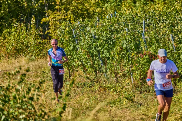 26 Eylül 2021: Romanya, Marcea, yarışma versiyonu no. Bir. Yerel bir spor, 12 km 'lik bir yarış. yarışmadan resimler.