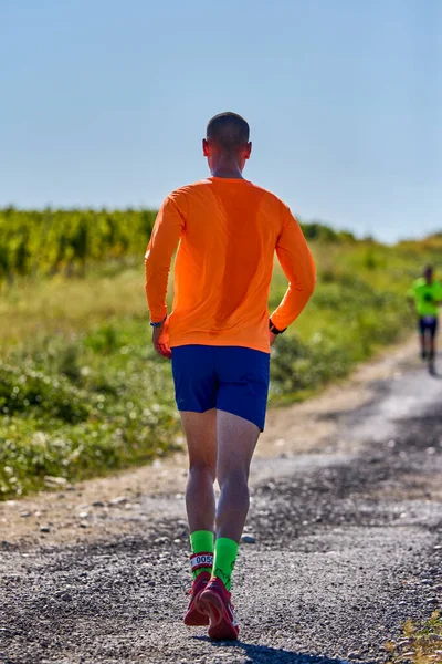 2021年9月26日 罗马尼亚 Marcea 举办比赛版本第7版 在当地推广运动 12公里赛跑 来自竞赛的图像 — 图库照片
