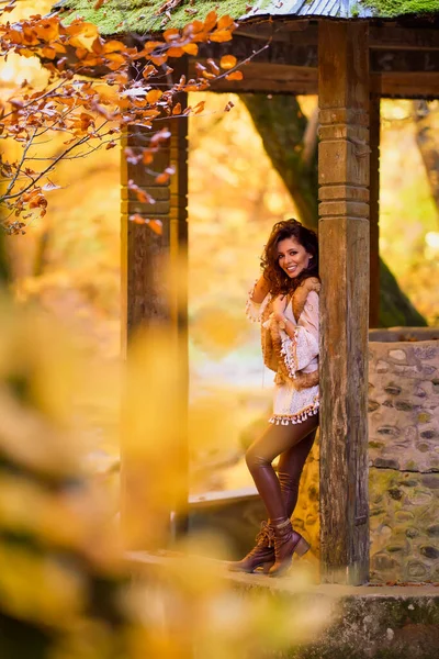 Herbstporträt Mit Einer Schönen Frau Verschiedenen Positionen Der Nähe Eines — Stockfoto