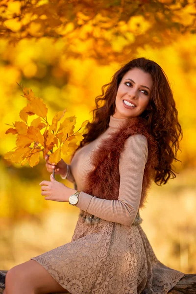 Porträt Einer Schönen Frau Wald Der Herbstzeit — Stockfoto