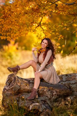Sonbaharda yaşlı bir ağacın kütüğünde poz veren güzel bir kadın. Sonbaharın renkleri.