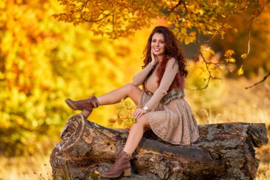 Sonbaharda yaşlı bir ağacın kütüğünde poz veren güzel bir kadın. Sonbaharın renkleri.