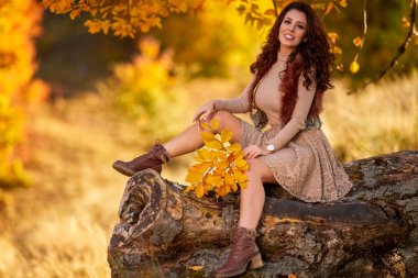 Sonbaharda yaşlı bir ağacın kütüğünde poz veren güzel bir kadın. Sonbaharın renkleri.