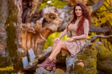 Sonbaharda yaşlı bir ağacın kütüğünde poz veren güzel bir kadın. Sonbaharın renkleri.