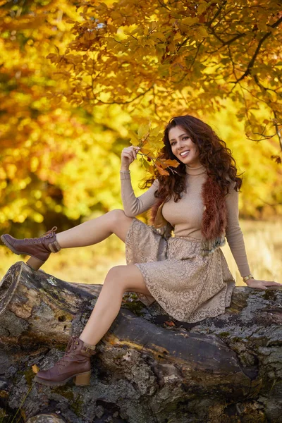 Μια Όμορφη Γυναίκα Ποζάρουν Ένα Κούτσουρο Ενός Παλιού Δέντρου Φθινόπωρο — Φωτογραφία Αρχείου