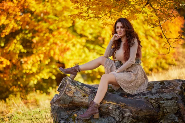 Piękna Kobieta Stwarzająca Kłębie Starego Drzewa Jesienią Kolory Jesieni — Zdjęcie stockowe
