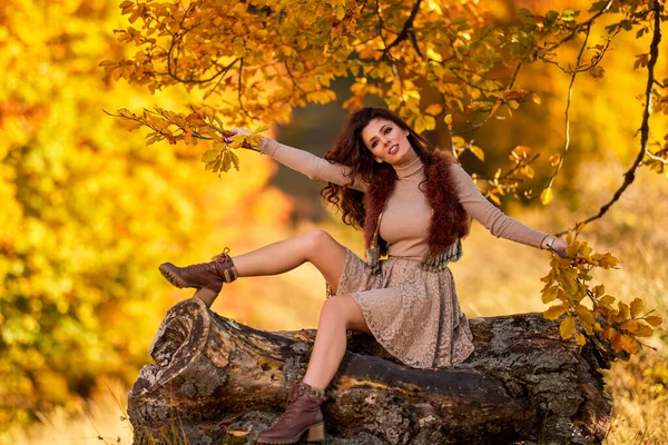 Una Hermosa Mujer Posando Sobre Tronco Viejo Árbol Otoño Los — Foto de Stock