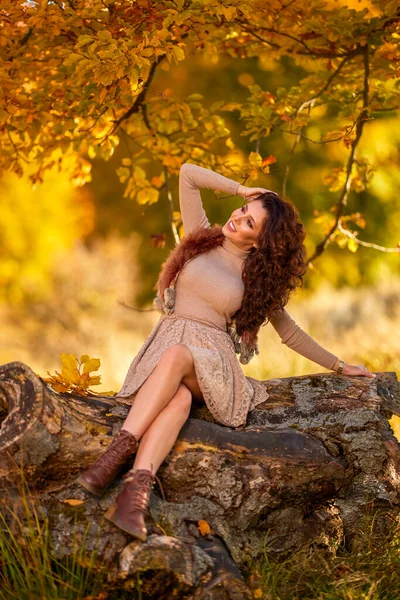 Sonbaharda Yaşlı Bir Ağacın Kütüğünde Poz Veren Güzel Bir Kadın — Stok fotoğraf