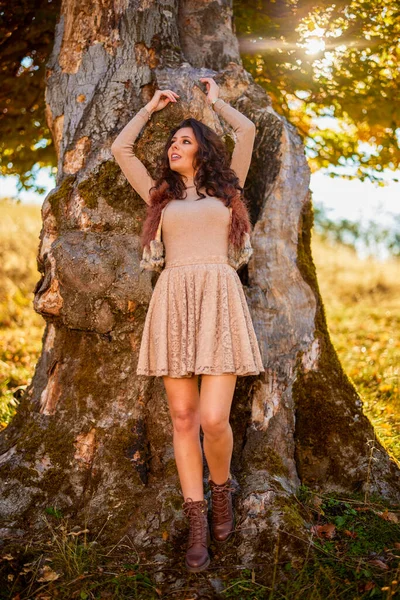 Una Bella Donna Posa Tronco Vecchio Albero Autunno Colori Dell — Foto Stock