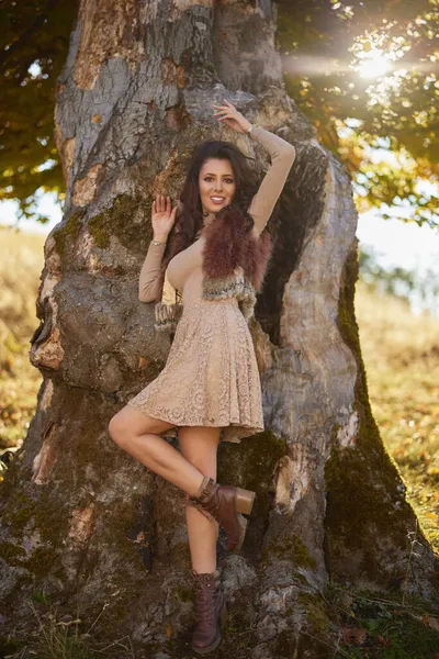 Красивая Женщина Позирующая Бревне Старого Дерева Осенью Цвета Осени — стоковое фото
