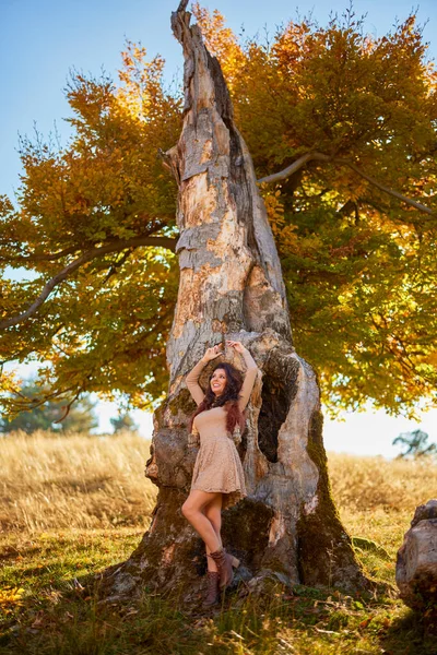 Krásná Žena Pózující Kmeni Starého Stromu Podzim Barvy Podzimu — Stock fotografie