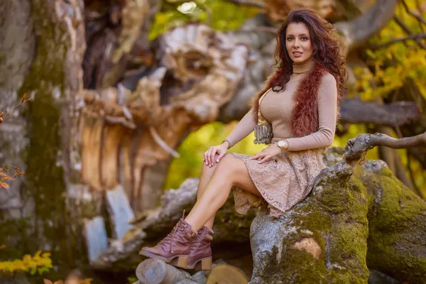 Sonbaharda yaşlı bir ağacın kütüğünde poz veren güzel bir kadın. Sonbaharın renkleri.