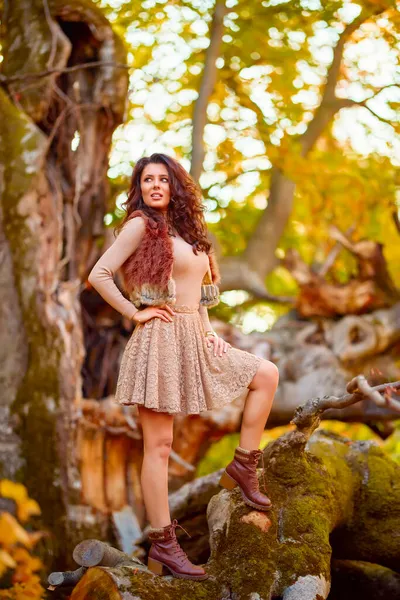 Una Bella Donna Posa Tronco Vecchio Albero Autunno Colori Dell — Foto Stock