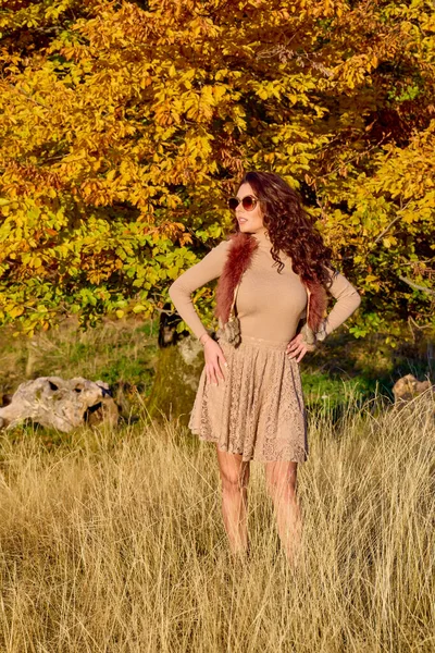 Eine Schöne Elegante Frau Posiert Einem Sonnigen Herbsttag — Stockfoto
