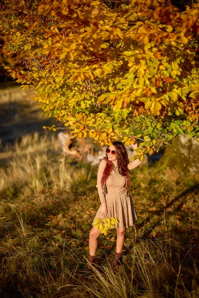 一个美丽优雅的女人在一个阳光灿烂的秋日摆出姿势 — 图库照片