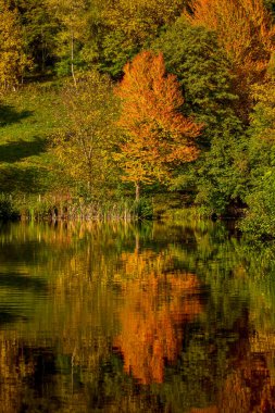 Sonbaharda güneşli bir günde bir dağ gölü olan manzara.