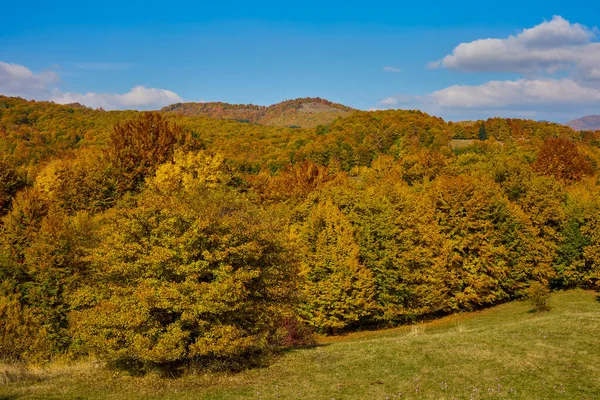 Hermoso Paisaje Otoño Día Soleado Octubre — Foto de Stock