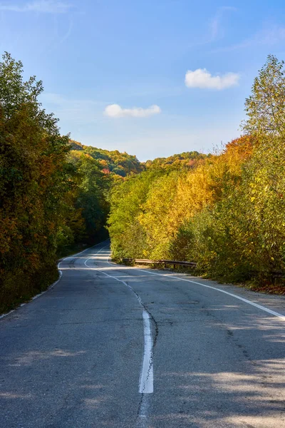 Paisaje Con Una Carretera Otoño Durante Día —  Fotos de Stock