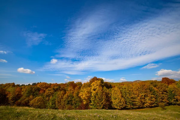 Vacker Höst Landskap Solig Oktober Dag — Stockfoto