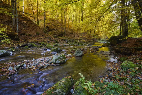 10月の晴れた日の美しい秋の風景 — ストック写真