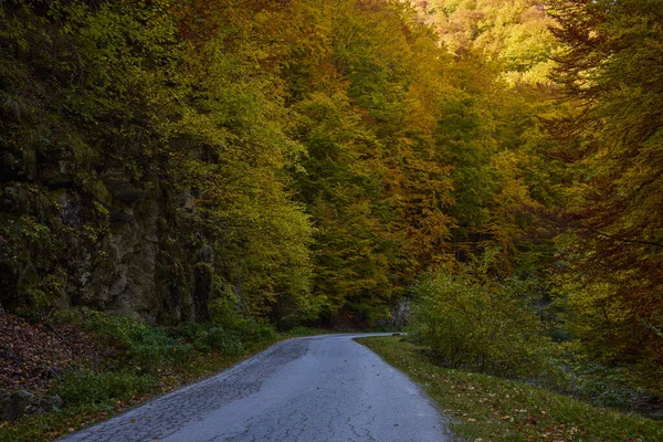 Krajina Silnicí Podzim Během Dne — Stock fotografie