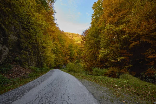 Paisaje Con Una Carretera Otoño Durante Día —  Fotos de Stock