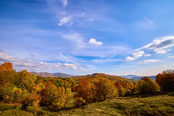Güneşli Bir Ekim Gününde Güzel Bir Sonbahar Manzarası — Stok fotoğraf