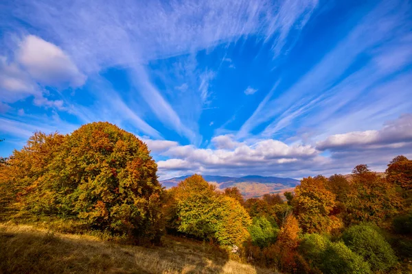 Güneşli Bir Ekim Gününde Güzel Bir Sonbahar Manzarası — Stok fotoğraf