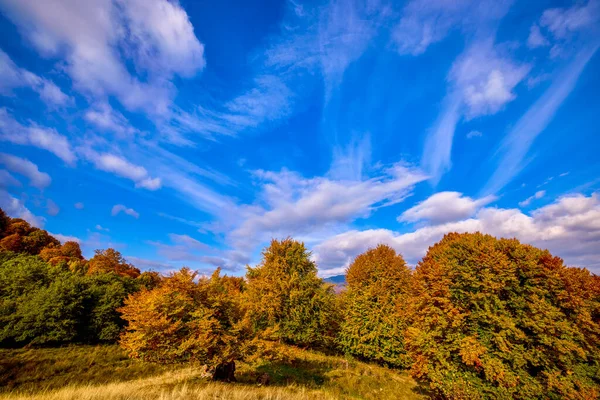 Όμορφο Φθινοπωρινό Τοπίο Μια Ηλιόλουστη Μέρα Του Οκτωβρίου — Φωτογραφία Αρχείου