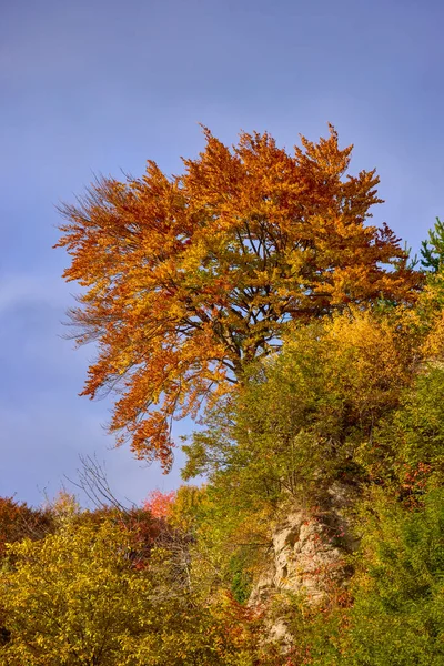 Beaux Paysages Automne Sur Une Journée Ensoleillée Octobre — Photo