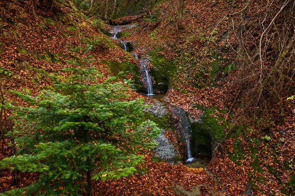 Romanya Daki Karpat Dağlarında Sonbahar Manzarası Güzel Bir Şelale — Stok fotoğraf