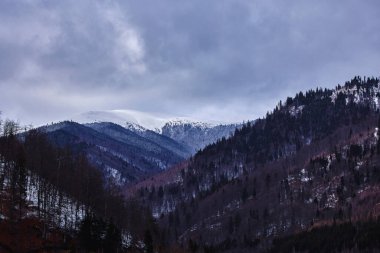 Romanya 'nın Karpat dağlarında kışın güzel dağ manzarası