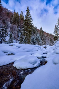 Bir dağ nehri ile kış görüntüleri. Cennet manzarası