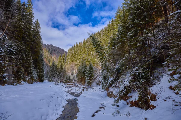 Immagini Invernali Con Fiume Montagna Paesaggio Idilliaco — Foto Stock