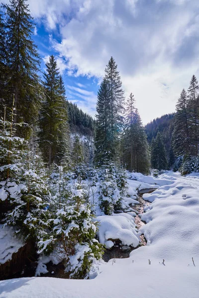 Immagini Invernali Con Fiume Montagna Paesaggio Idilliaco — Foto Stock