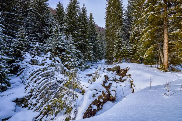 カルパチア山脈の冬の美しい山の風景ルーマニア — ストック写真