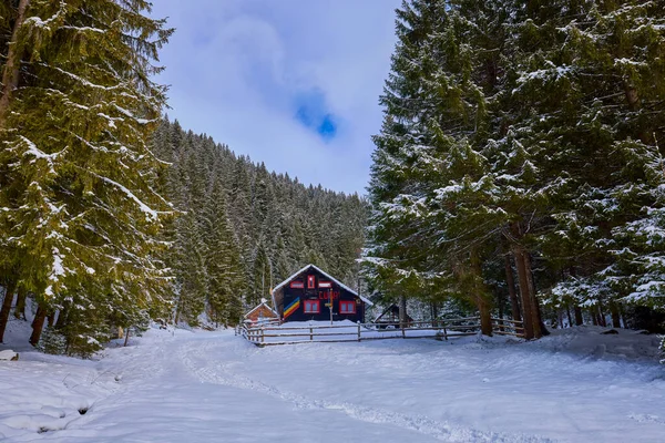 Bellissimo Paesaggio Montano Inverno Nelle Montagne Dei Carpazi Romania — Foto Stock
