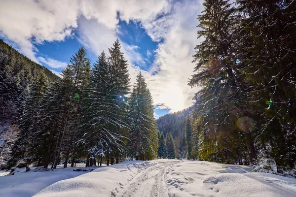 Piękny Krajobraz Górski Zimą Karpatach Rumunia — Zdjęcie stockowe
