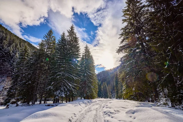 Hermoso Paisaje Montaña Invierno Las Montañas Los Cárpatos Rumania — Foto de Stock